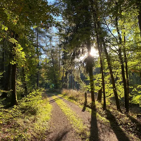 Seespatz 펜션 Diemelsee