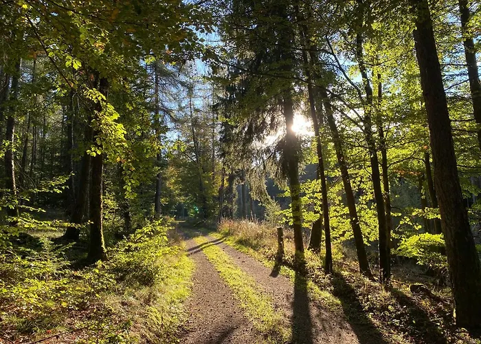 Seespatz 度假居 Diemelsee